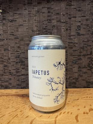 Lapetus Tributary - Piquette Can (375ml can)